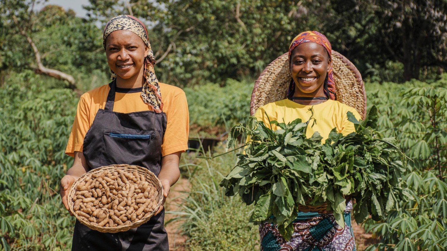 Livelihood skills - agriculture and produce